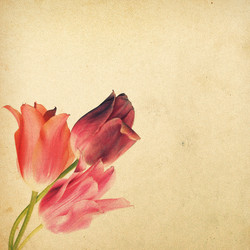 Similar image 2910646