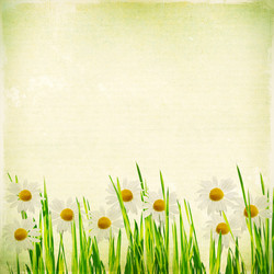 Similar image 2910652