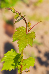 Similar image 2910662