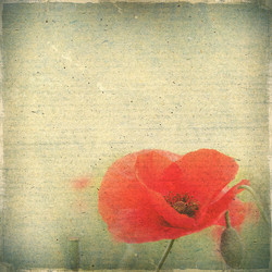 Similar image 2910664