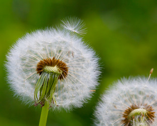 Similar image 2910676