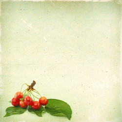 Similar image 2910681