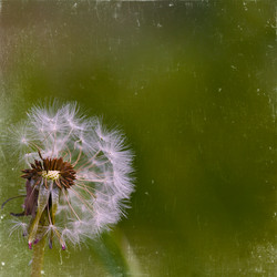 Similar image 2910682