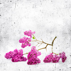 Similar image 2910688