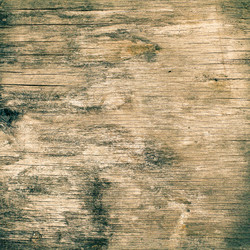 Similar image 2910690