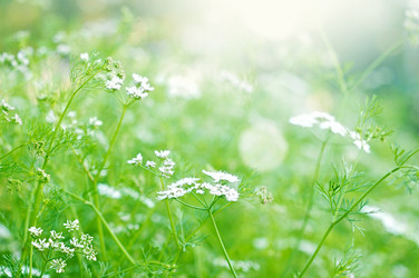 Similar image 2911152