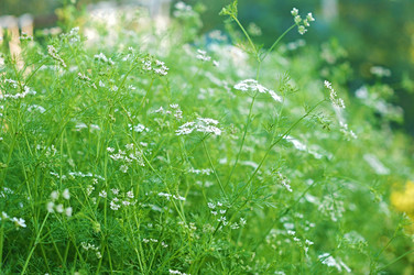 Similar image 2911162