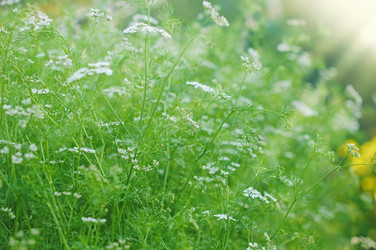 Similar image 2911163