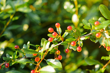 Similar image 2911165