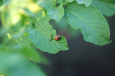 Similar image 2911167