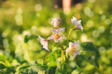 Similar image 2911170