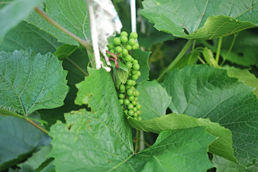 Similar image 2911171