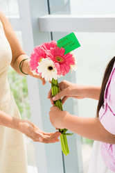 Similar image 2911180