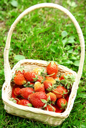 Similar image 2911673