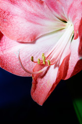 Similar image 2911739