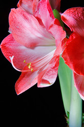 Similar image 2911741