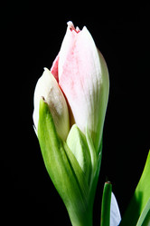 Similar image 2911742