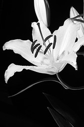 Similar image 2911744