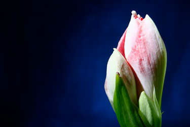 Similar image 2911747