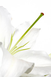 Similar image 2911751