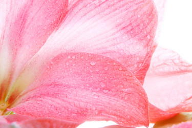 Similar image 2911753