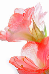 Similar image 2911755