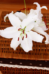 Similar image 2911757