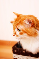 Similar image 2911762