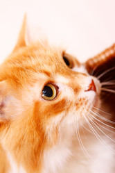 Similar image 2911765