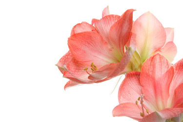 Similar image 2911767