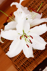 Similar image 2911773