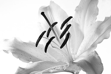 Similar image 2911774