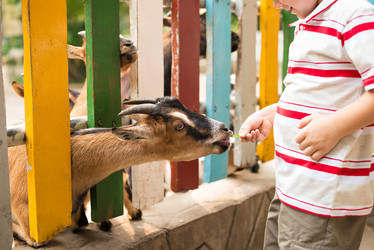 Similar image 2911805