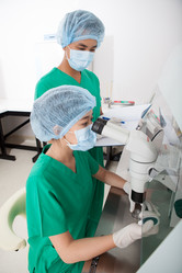 Similar image 2911894