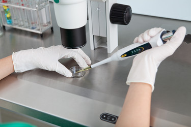 Similar image 2911895