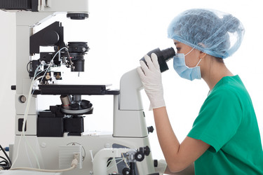 Similar image 2911900