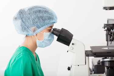 Similar image 2911901