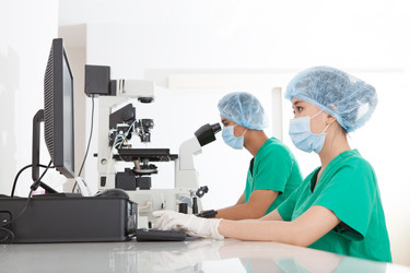 Similar image 2911912