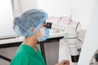 Similar image 2911956