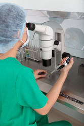 Similar image 2911957