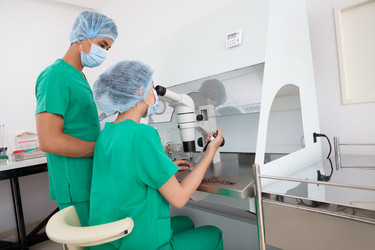 Similar image 2911958