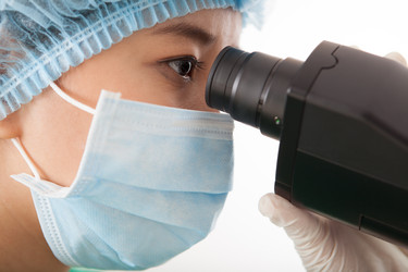 Similar image 2911962