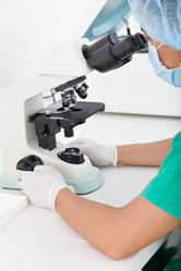 Similar image 2911964