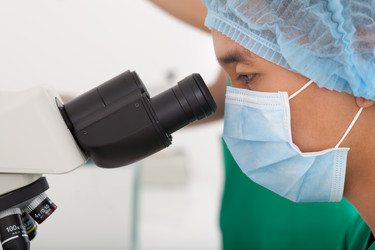 Similar image 2911965