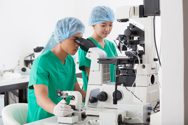 Similar image 2911970