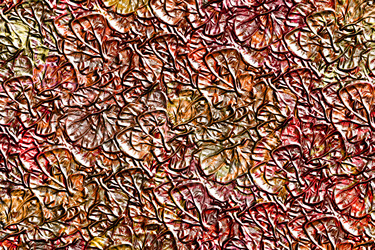 Similar image 2912040