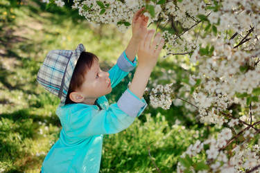 Similar image 2912327