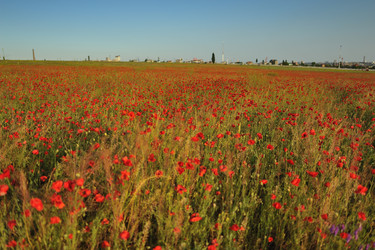 Similar image 2912330