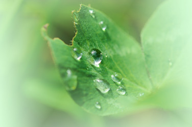 Similar image 2912389