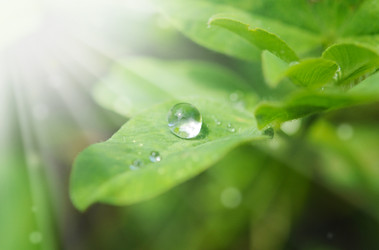 Similar image 2912394